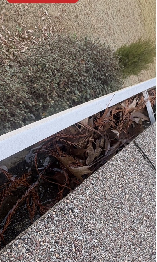 Gutter cleaning before and after in DeSoto County, MS